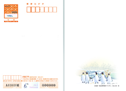 旭山動物園のペンギン