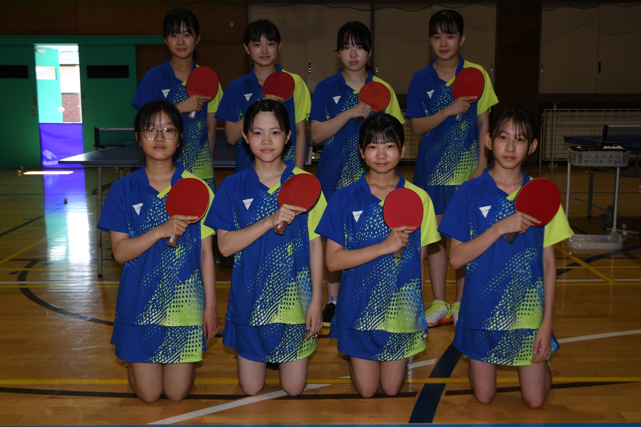 s-1201 s-1201