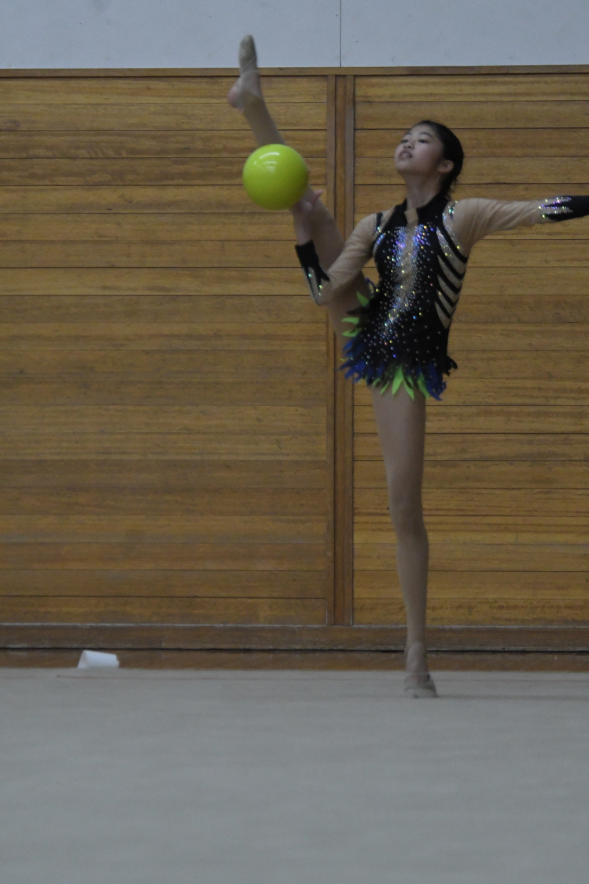 s-DSC_9675