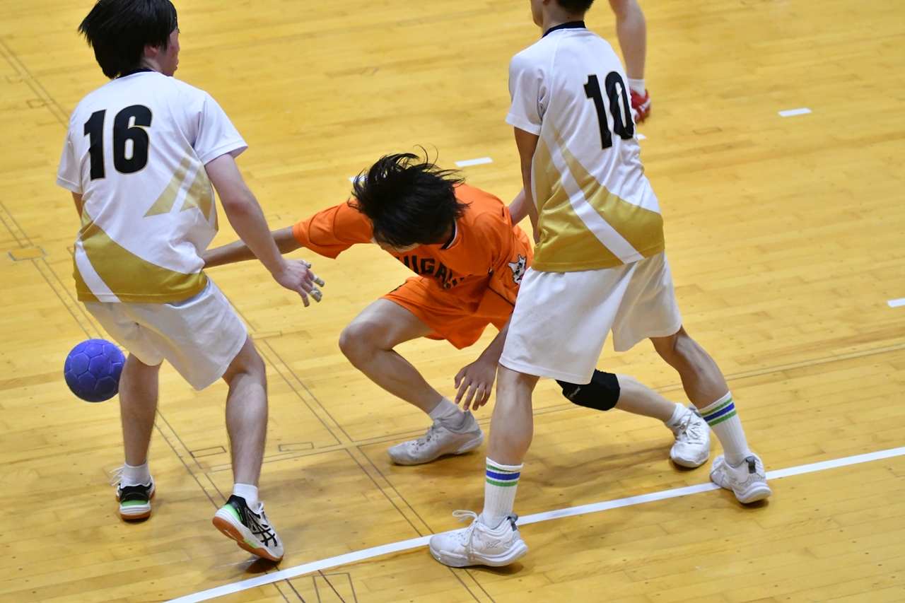 s-DSC_7041