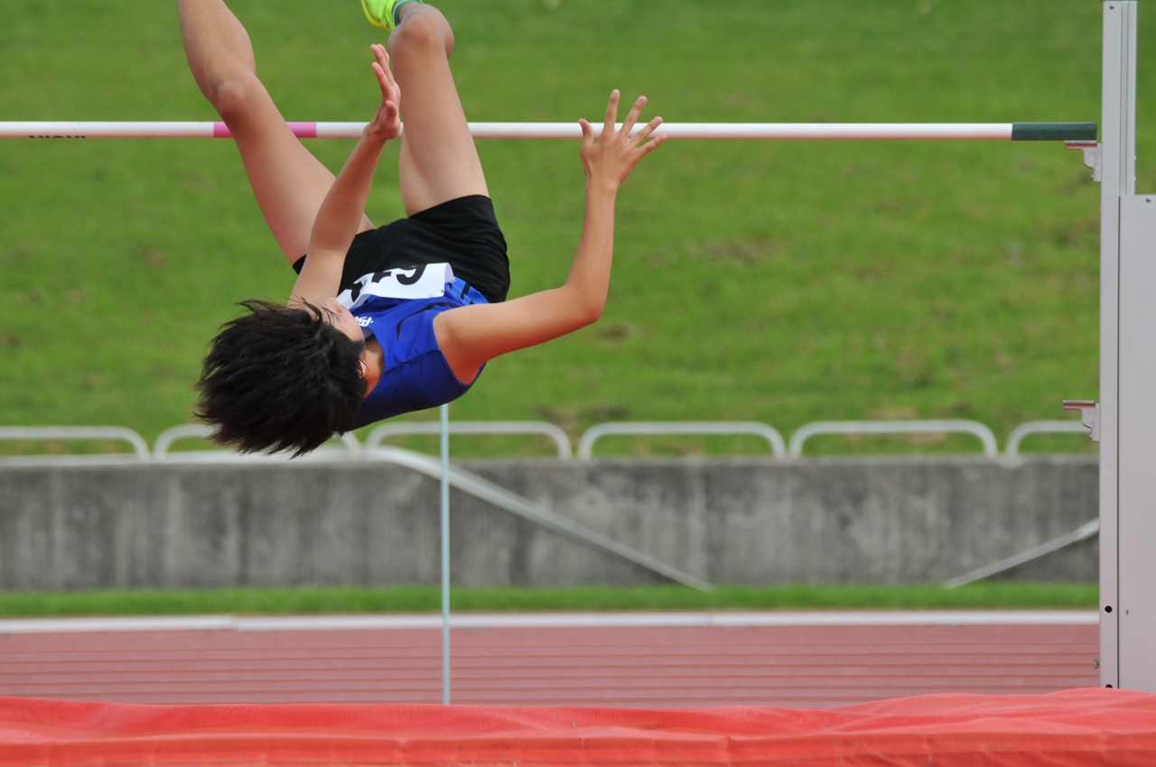 s-DSC_2371 s-DSC_2371
