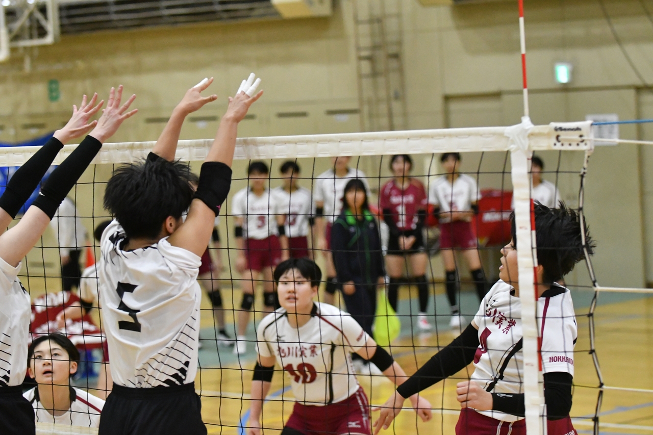 s-DSC_8037 s-DSC_8037