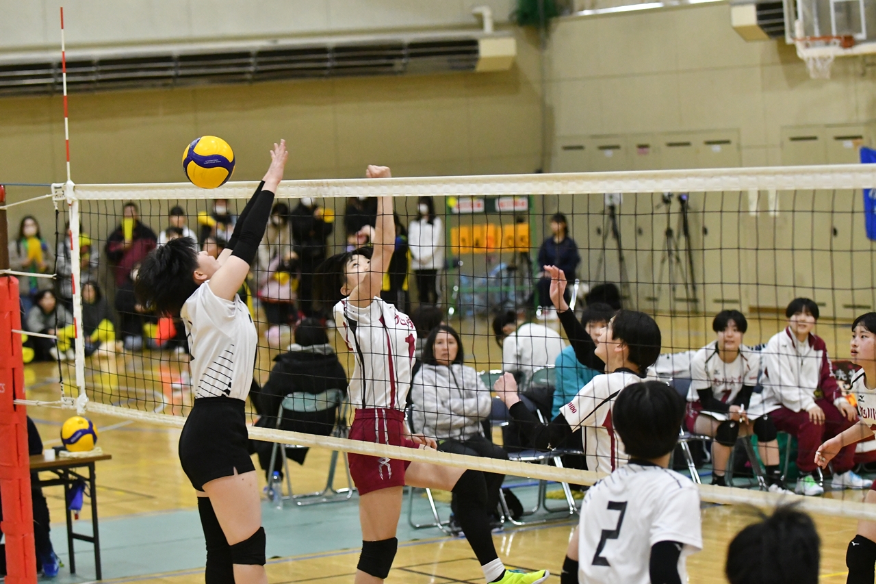s-DSC_8039 s-DSC_8039
