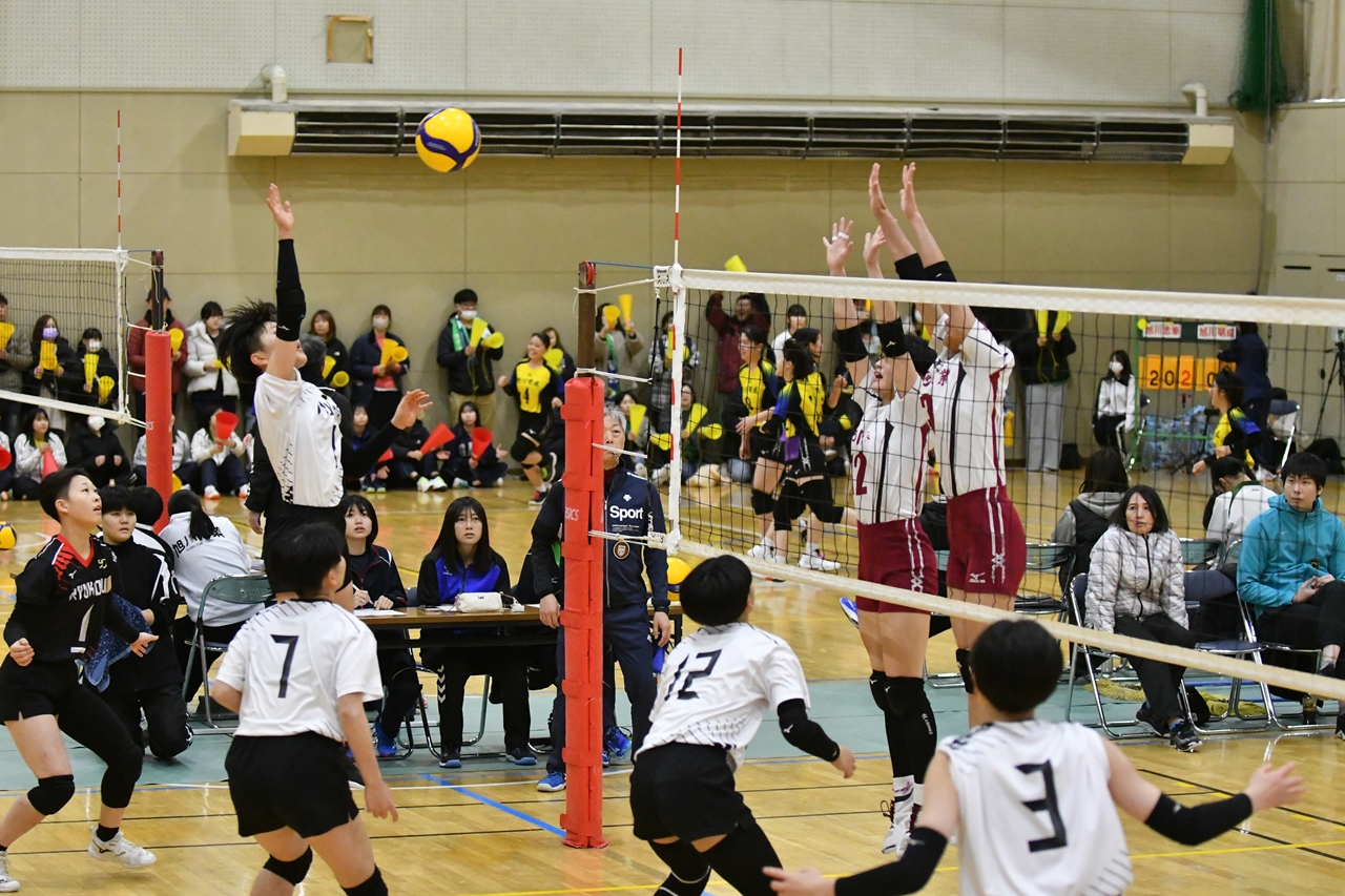 s-DSC_8083 s-DSC_8083