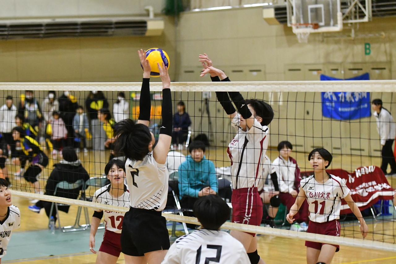 s-DSC_8096 s-DSC_8096