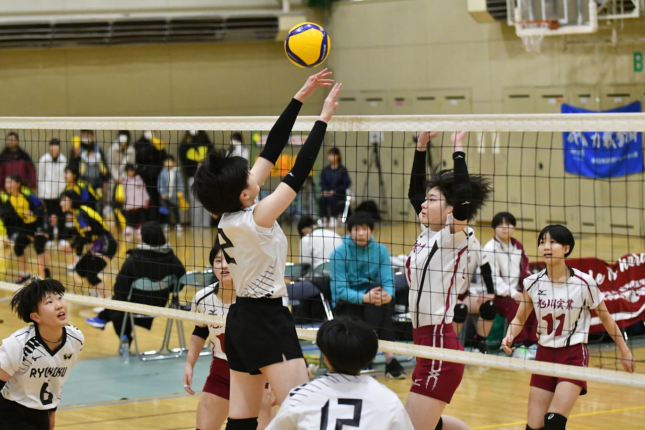 s-DSC_8097 s-DSC_8097