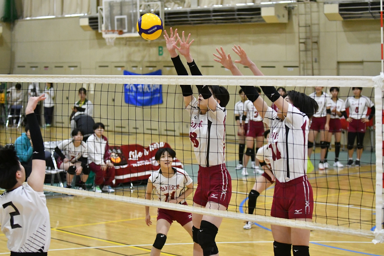 s-DSC_8121 s-DSC_8121
