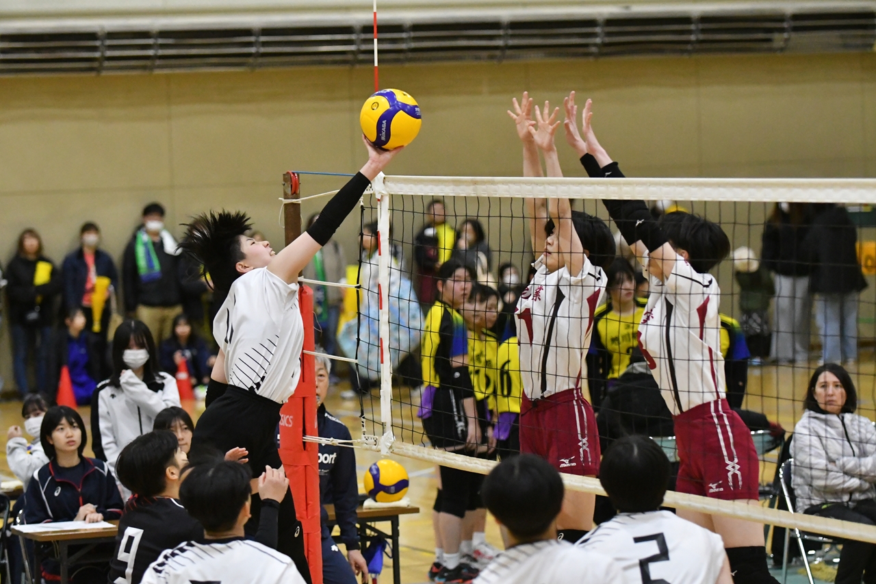 s-DSC_8123 s-DSC_8123