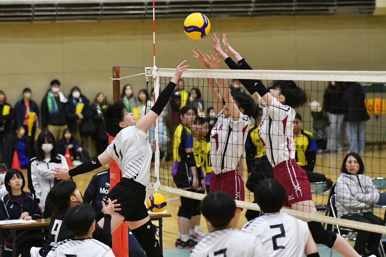 s-DSC_8124 s-DSC_8124