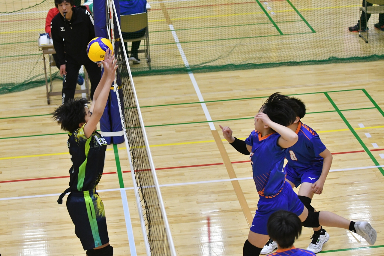 s-DSC_4959 s-DSC_4959