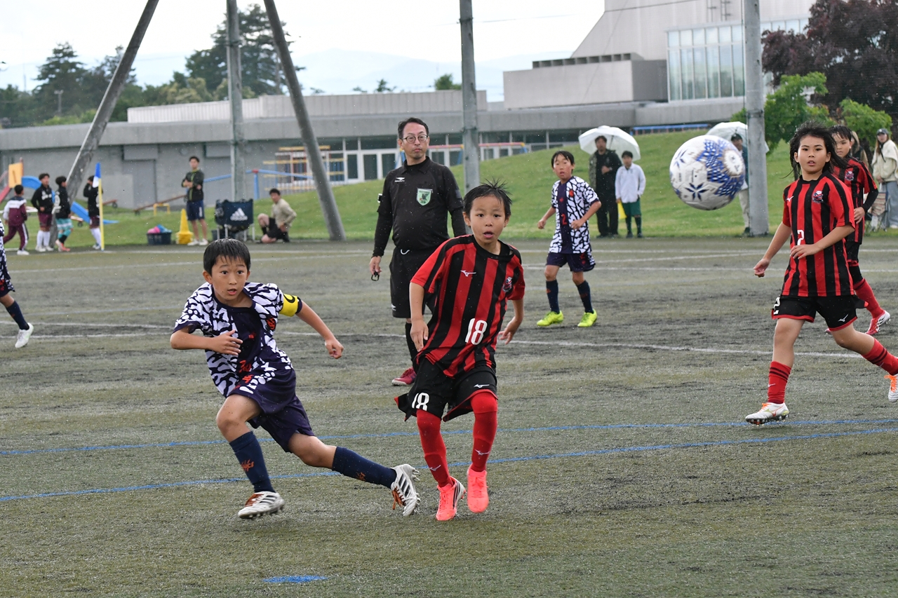 s-DSC_1181