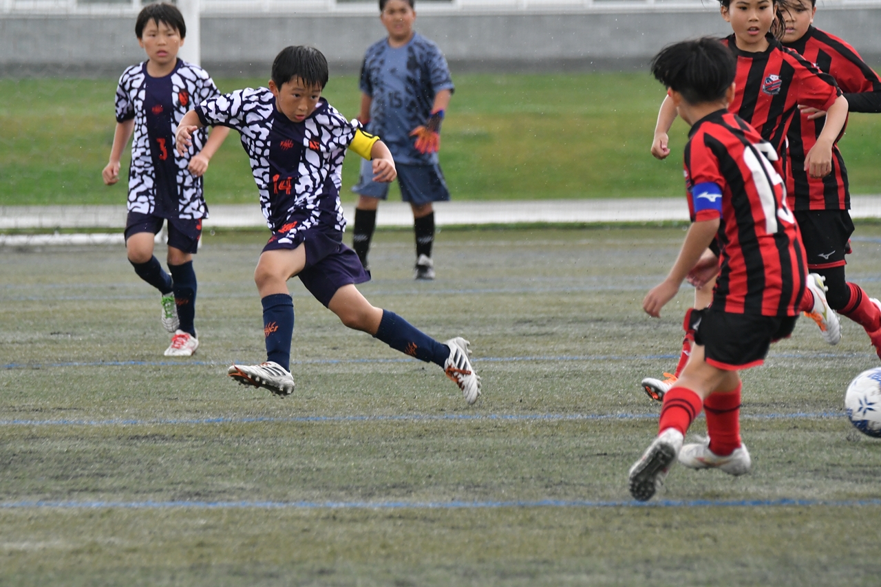 s-DSC_1184