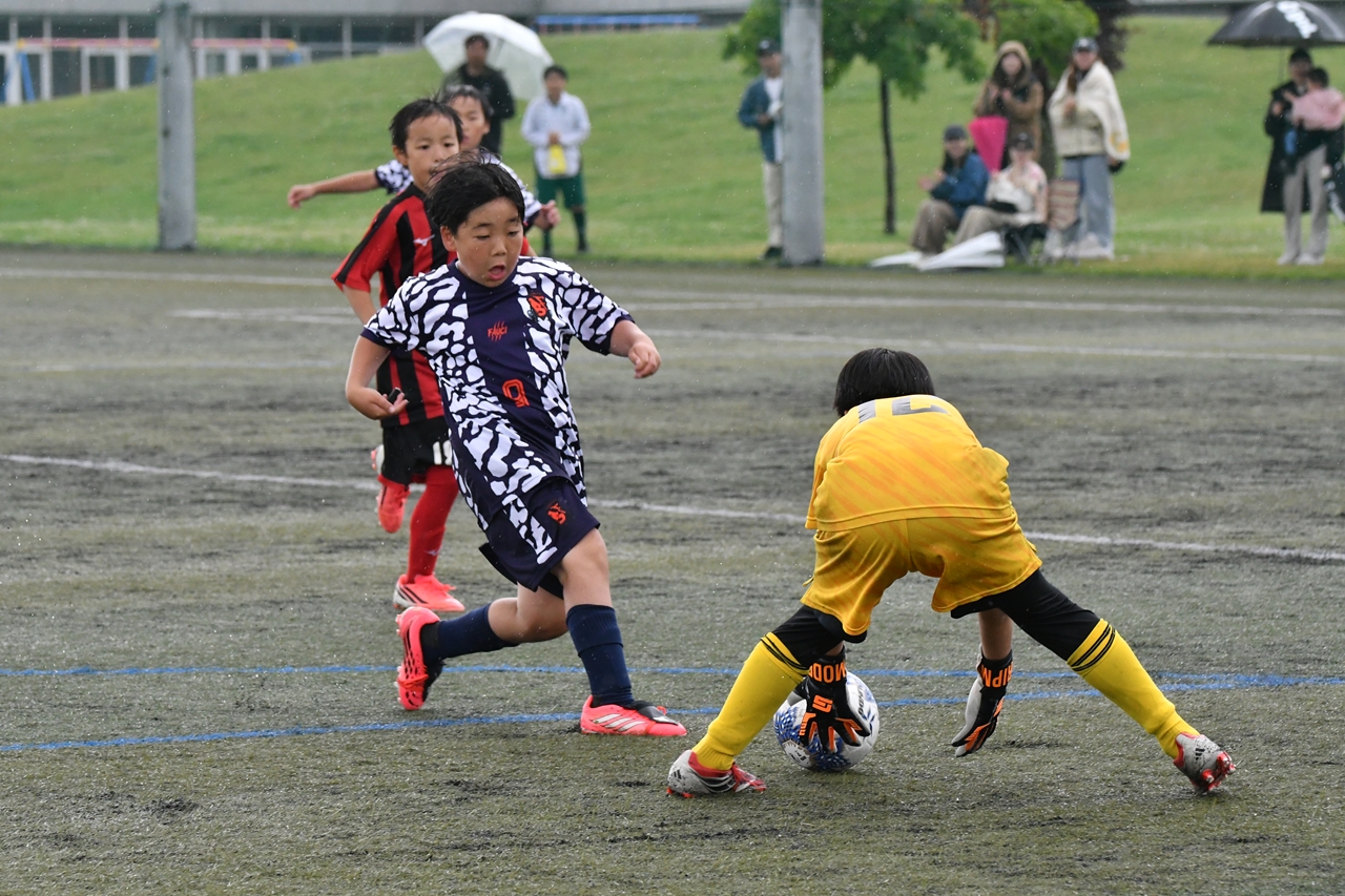s-DSC_1185