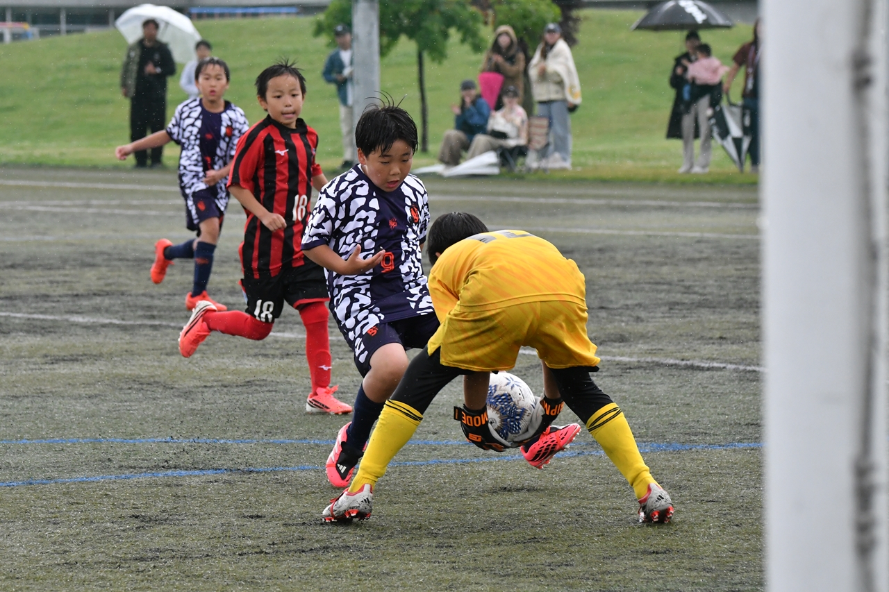 s-DSC_1187