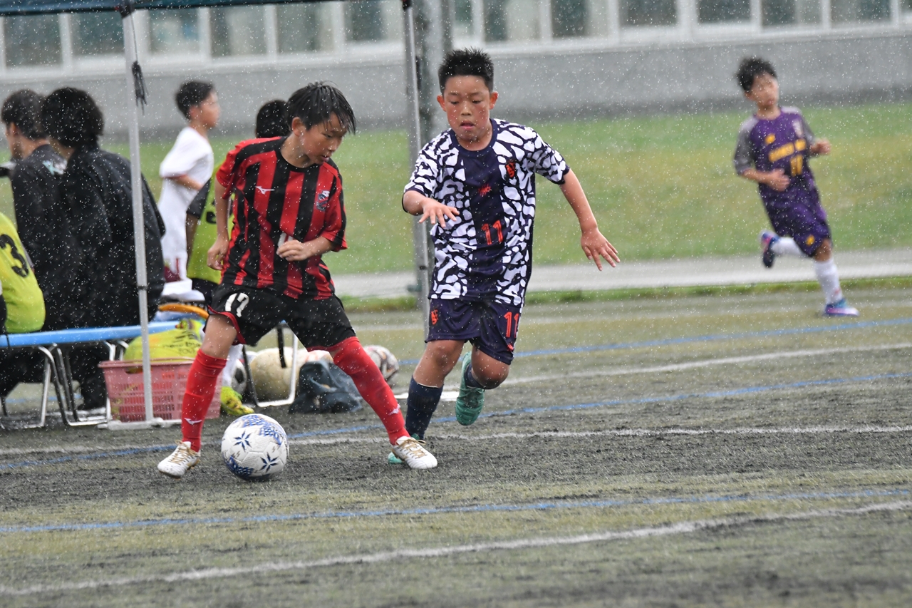 s-DSC_1196