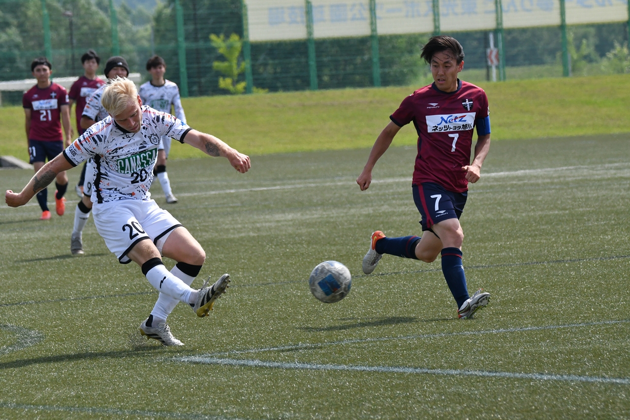 s-DSC_1595 s-DSC_1595