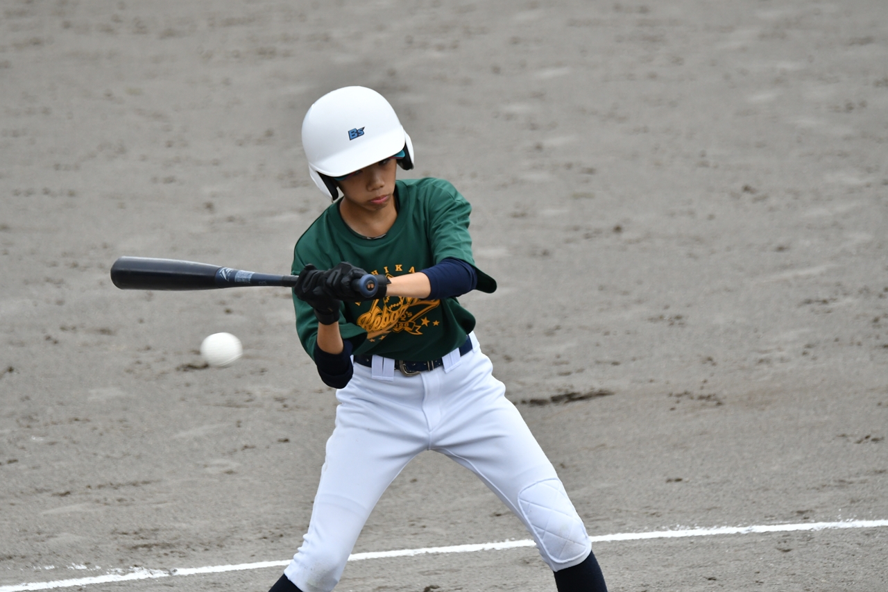 s-DSC_3183 s-DSC_3183
