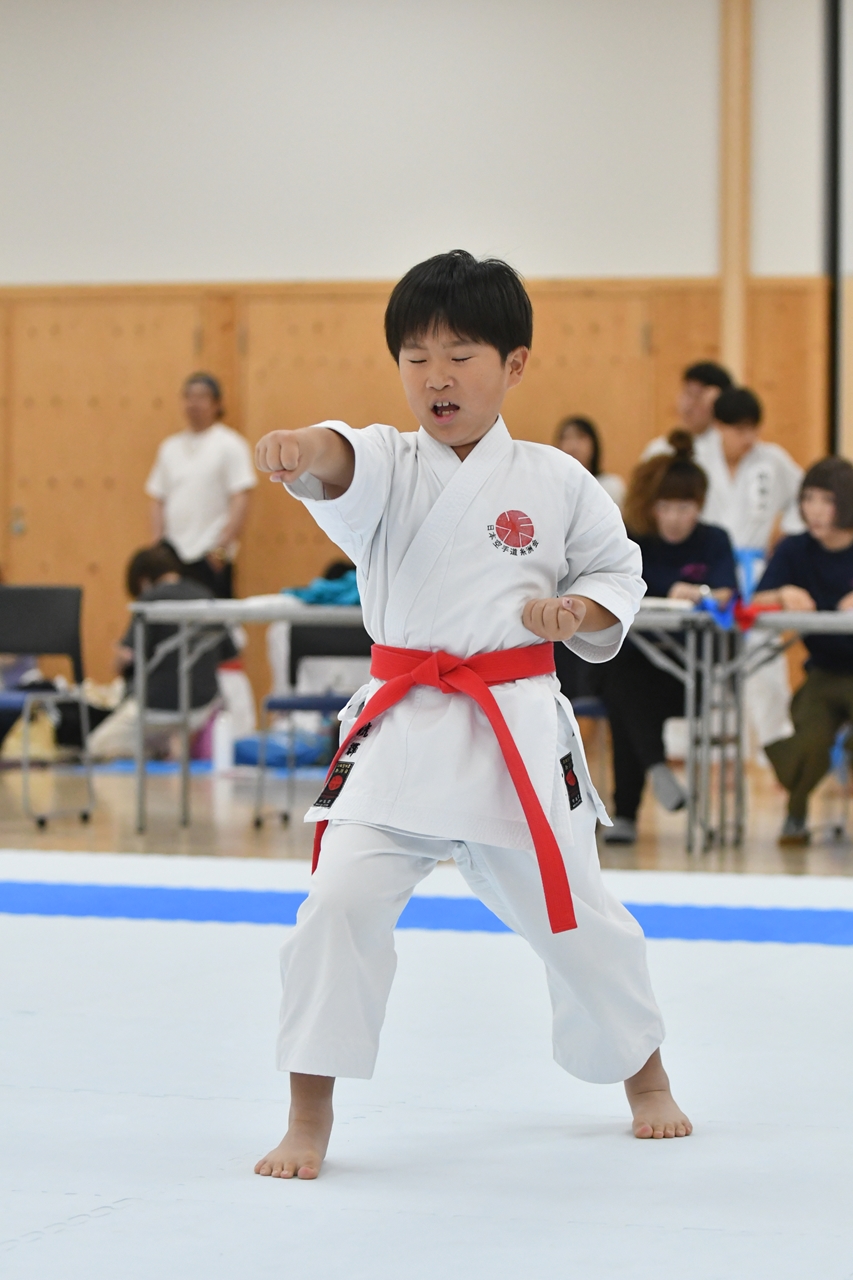 s-AKB_8626
