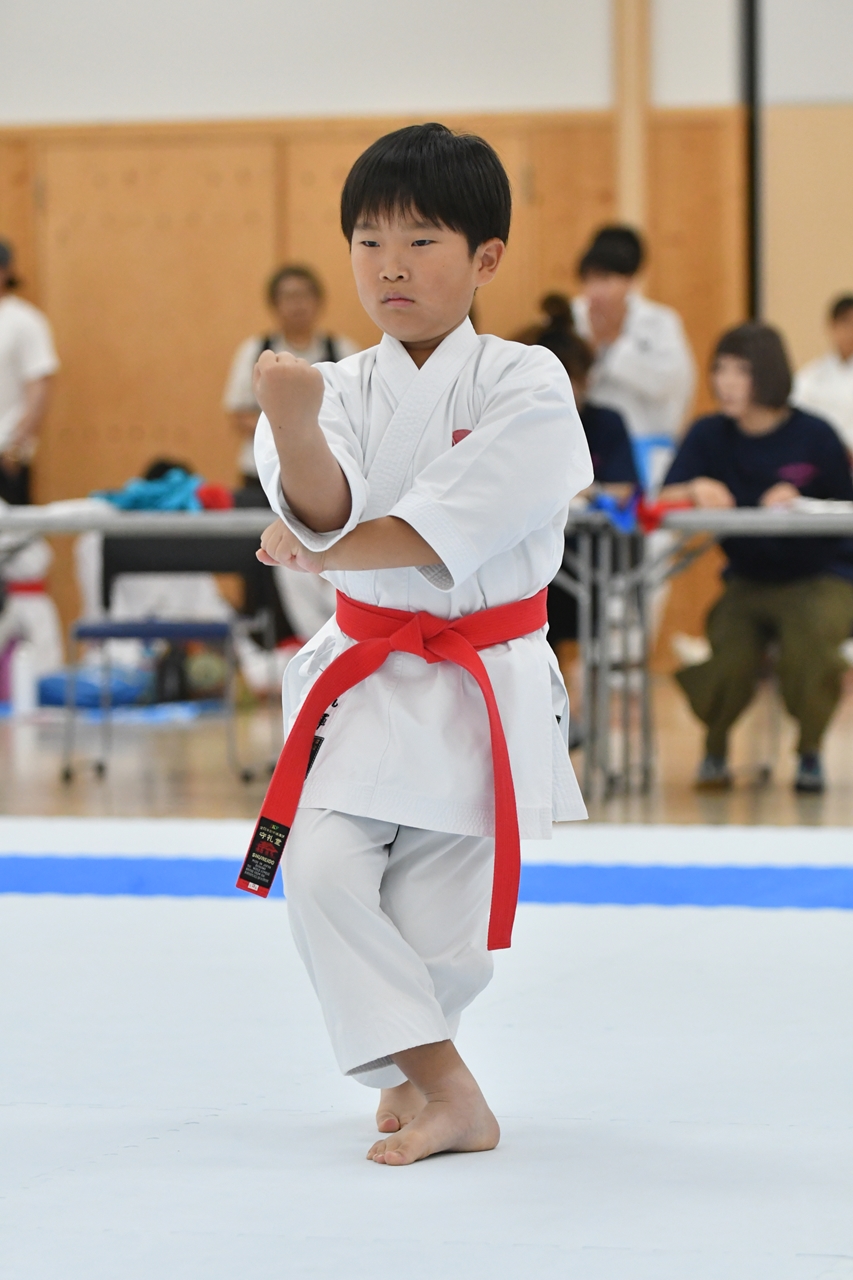 s-AKB_8628