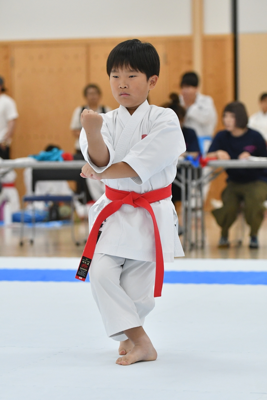 s-AKB_8629