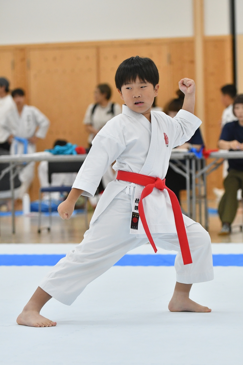 s-AKB_8631