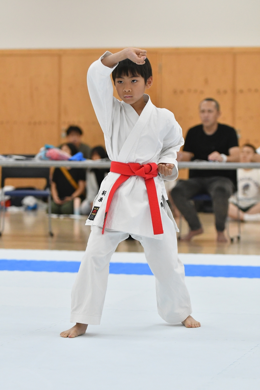 s-AKB_8632