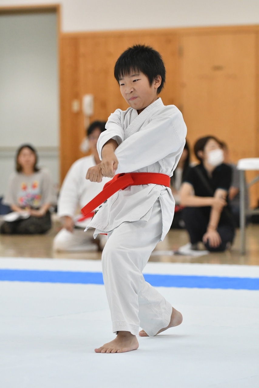 s-AKB_8650