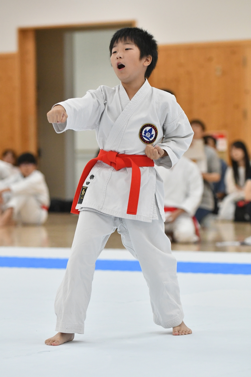 s-AKB_8652