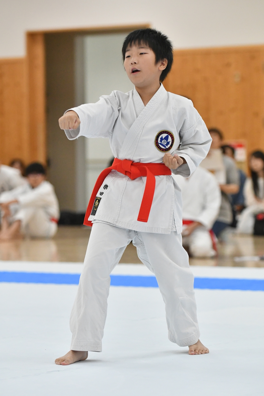 s-AKB_8653