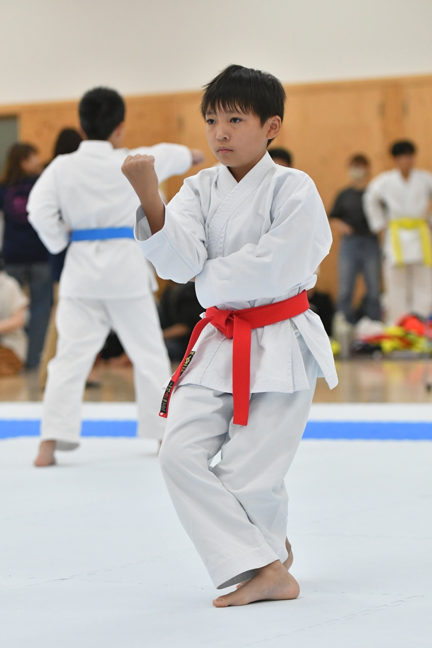 s-AKB_8658