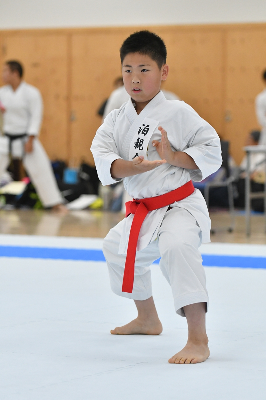 s-AKB_8669