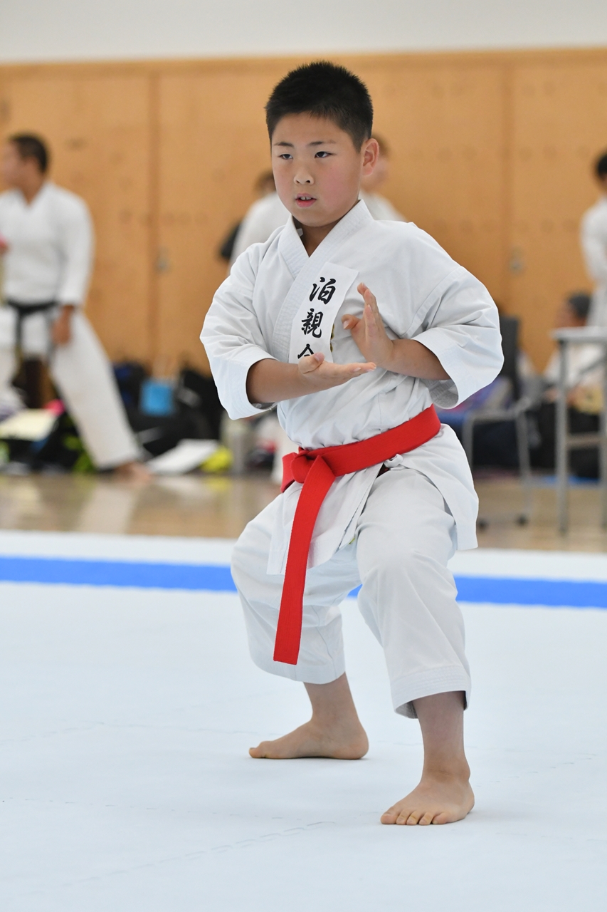 s-AKB_8670