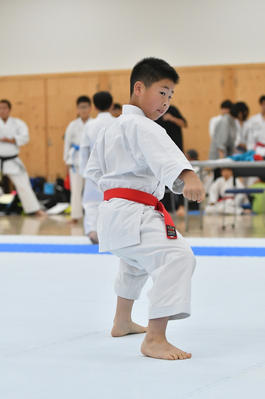 s-AKB_8673 s-AKB_8673