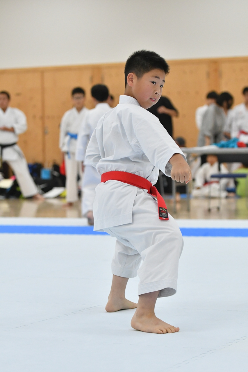 s-AKB_8674 s-AKB_8674