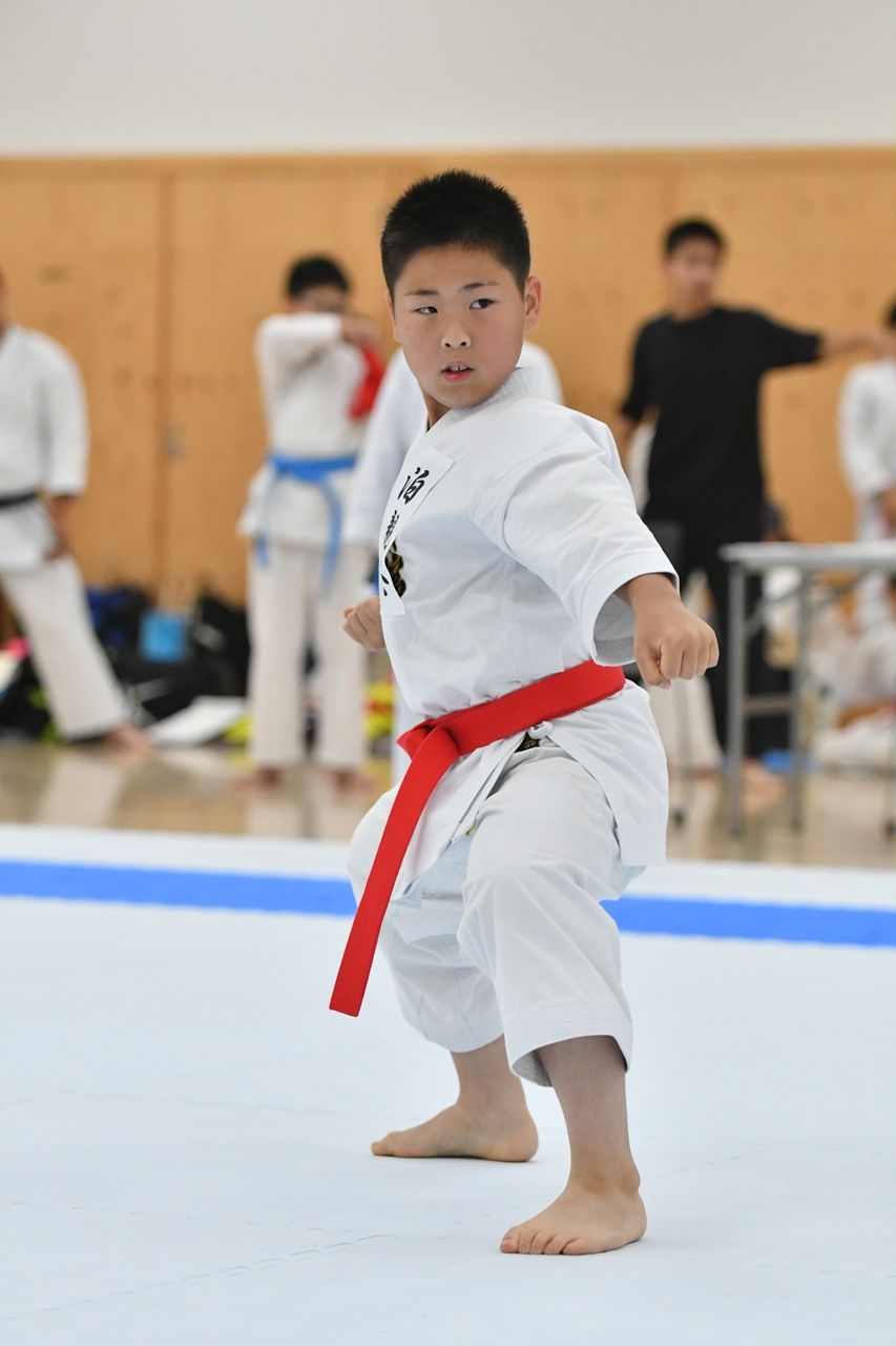 s-AKB_8677 s-AKB_8677