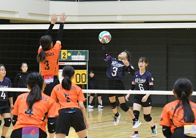 s-DST_8198 s-DST_8198