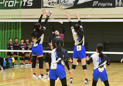 s-DST_8217 s-DST_8217