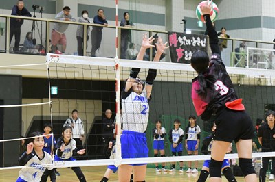 s-DST_8287 s-DST_8287