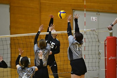 s-DSC_5528 s-DSC_5528