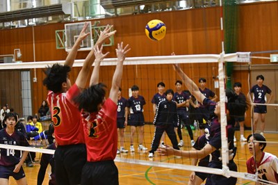 s-DSC_5930
