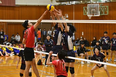 s-DSC_5966