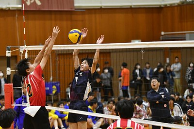 s-DSC_5982 s-DSC_5982