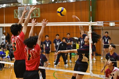 s-DSC_6037 s-DSC_6037